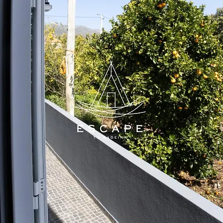 Casa J By Escape To Madeira * Fajã da Ovelha